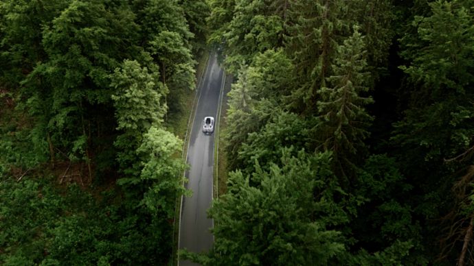 Ein weißes Auto mit Dachtbox fährt auf einer Straße, die durch einen Wald führt. 
