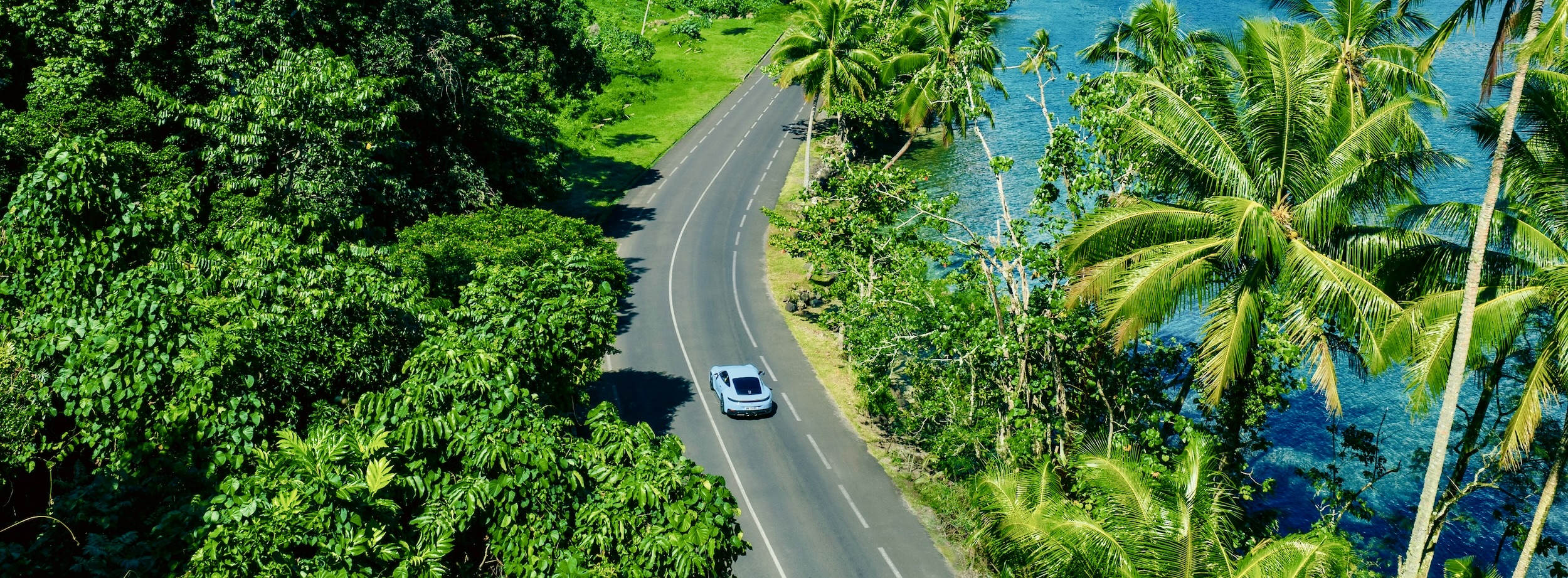 A light-blue Porsche 911 driving on a winding coastal road through tropical vegetation with palm trees, sea and mountains in the background.